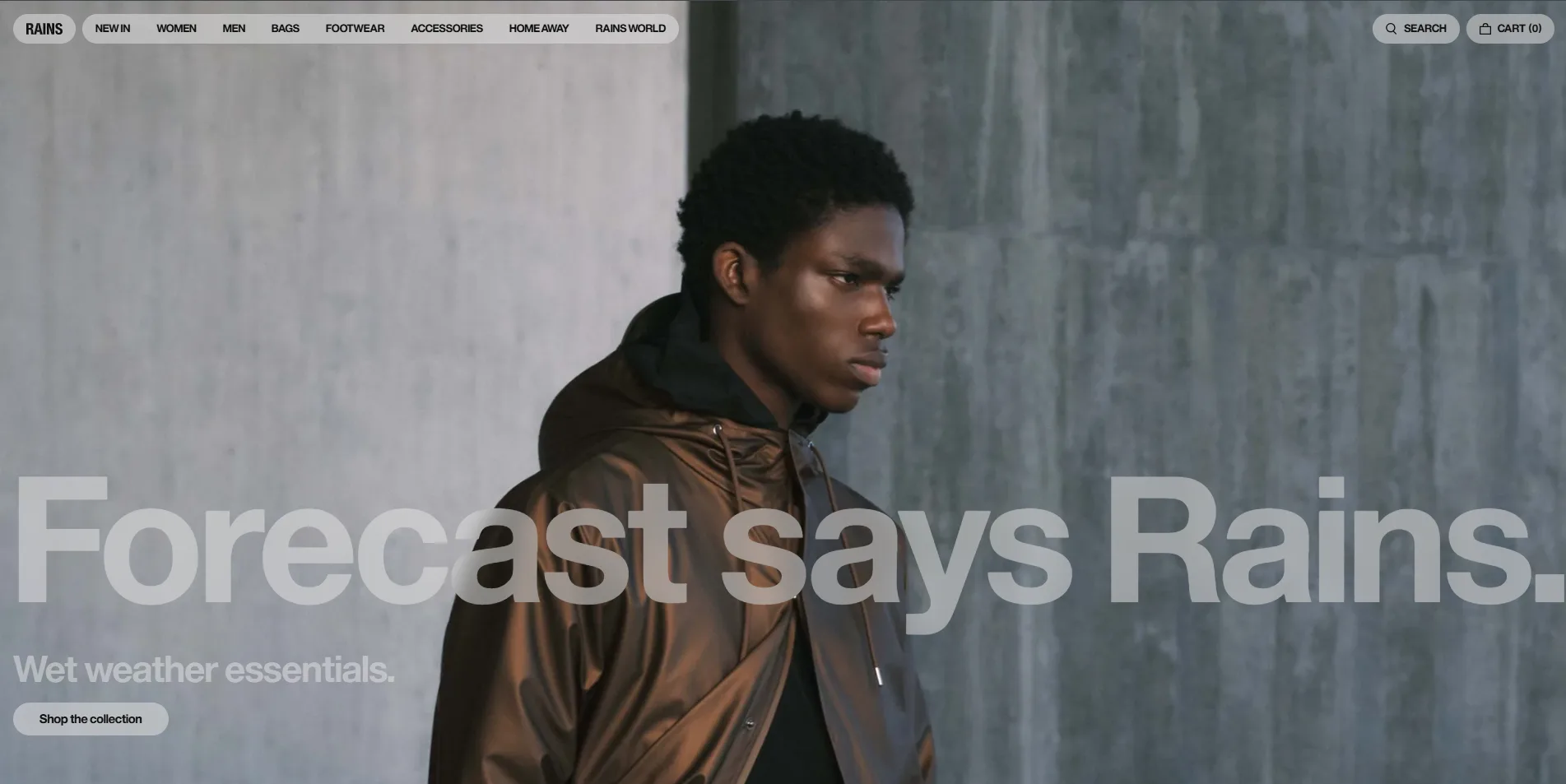 Rains homepage
